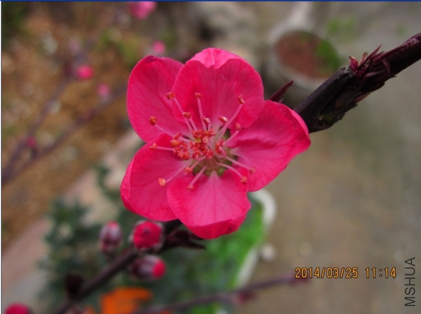 QQͼƬ20140325111734.jpg