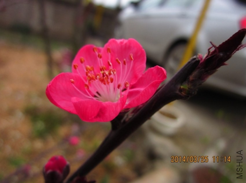 QQͼƬ20140325111737.jpg