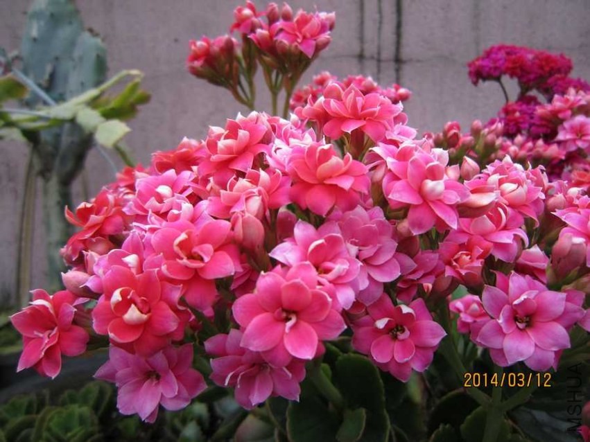 �۾��� (2).jpg