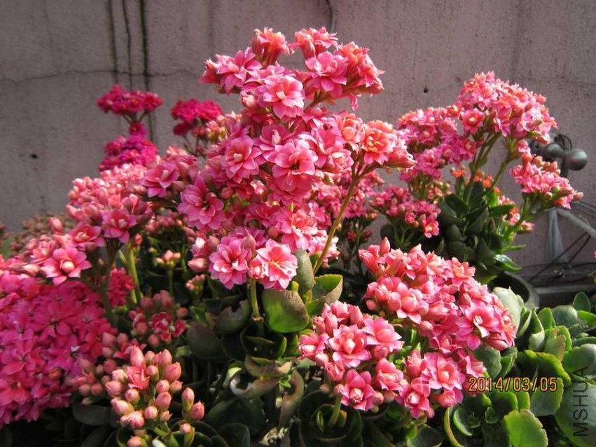 �۾��� (4).jpg