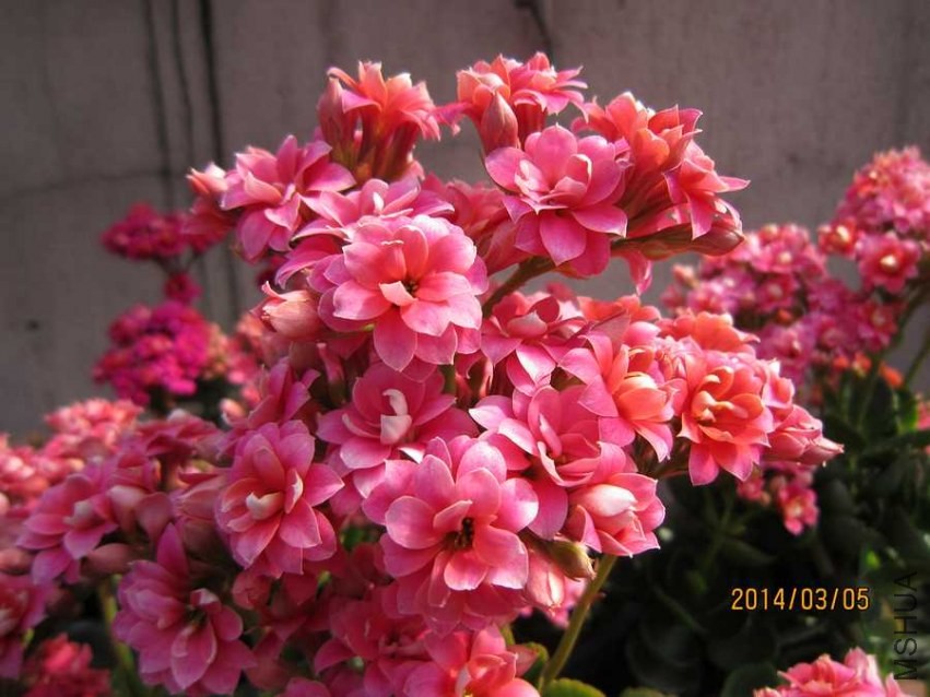 �۾��� (3).jpg