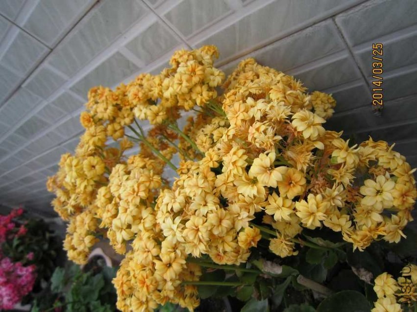 �ƾ��� (1).jpg