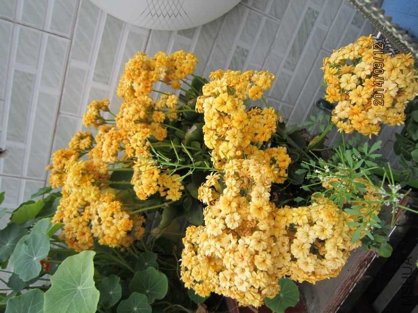 �ƾ��� (2).jpg