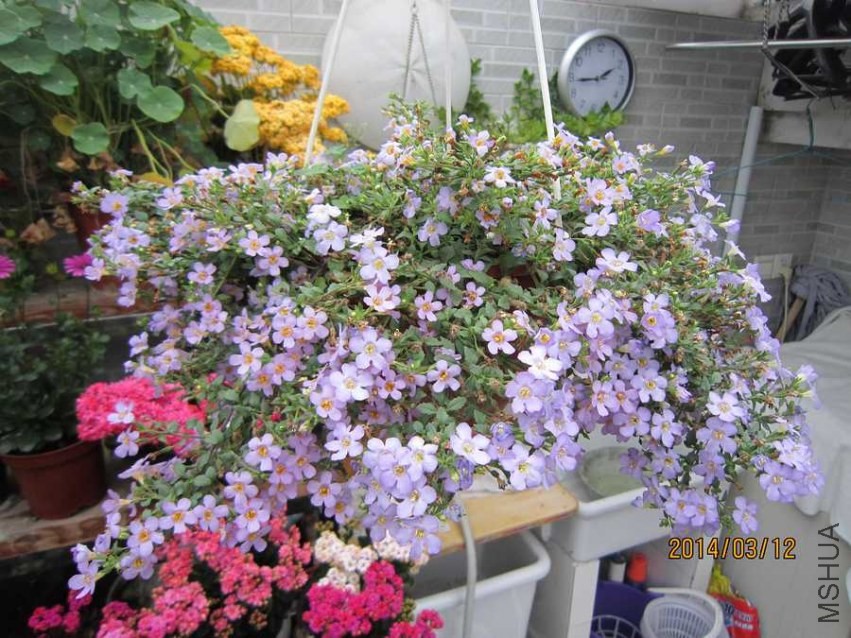 ���� (1).jpg