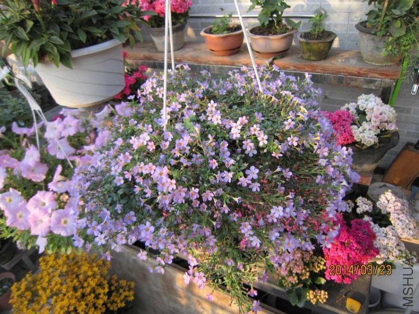 ���� (3).jpg