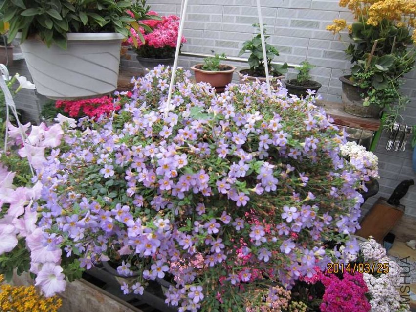 ���� (4).jpg