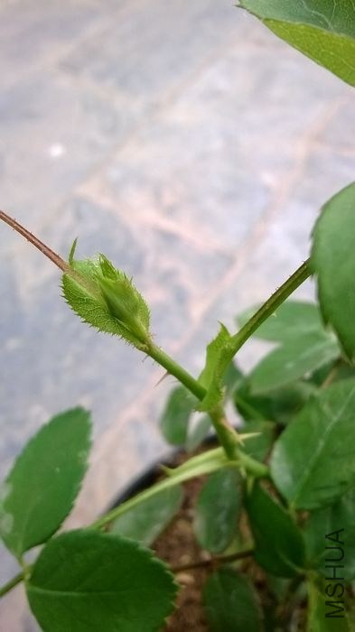 ����1