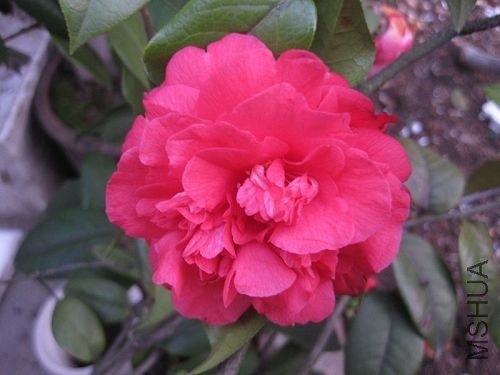 IMG_5869.jpg