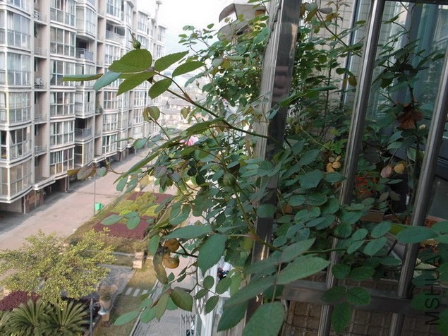 DSCI0006.JPG