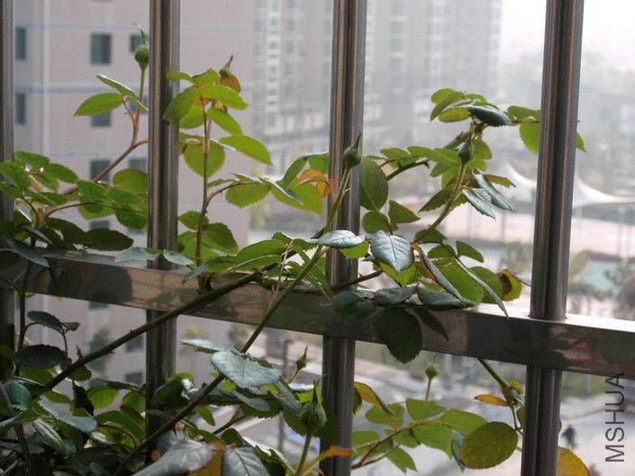 DSCI0001.JPG