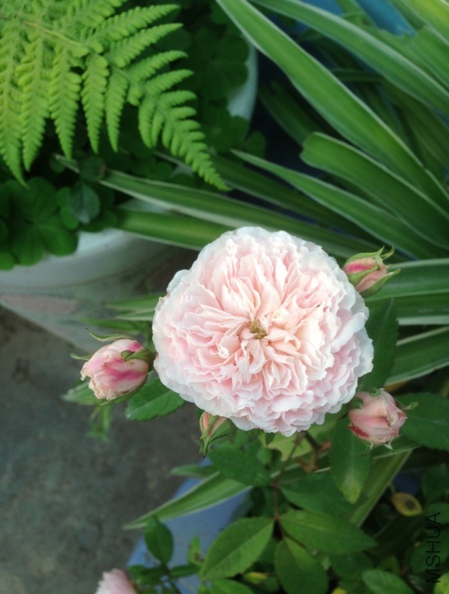 QQ��ͼ20140326083347.jpg