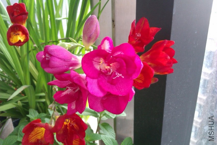 IMAG0432.jpg