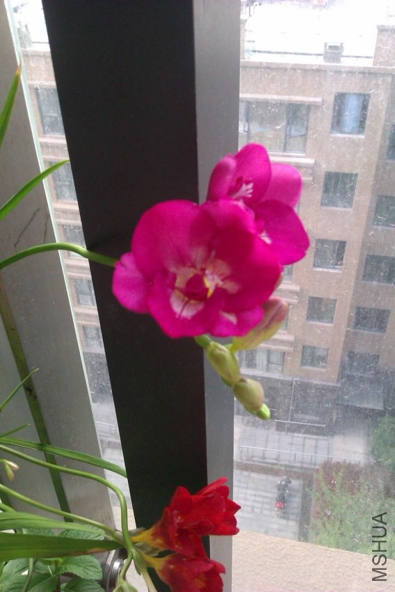 IMAG0433.jpg