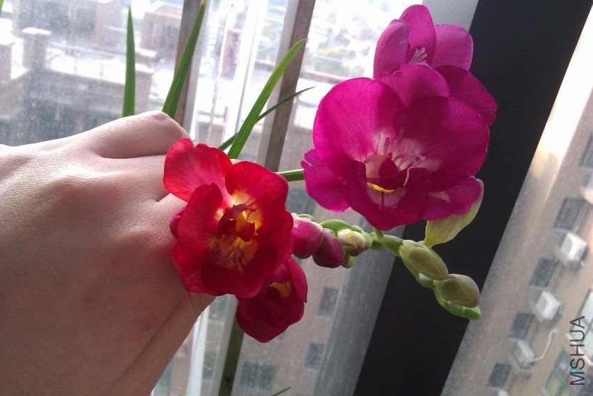IMAG0435.jpg