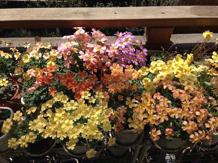OB����20140323 007.JPG