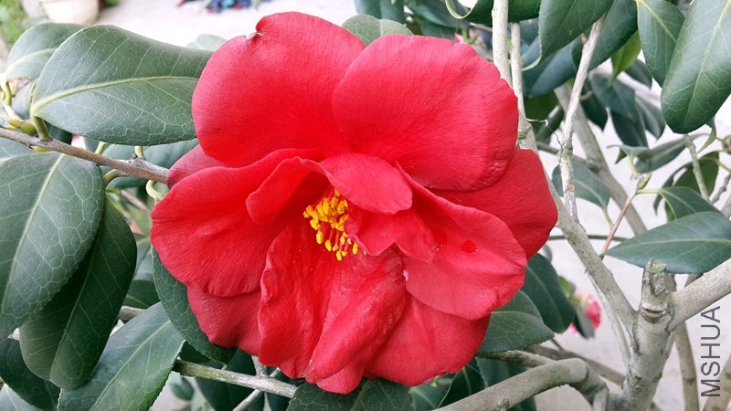 20140326_153747_����.jpg