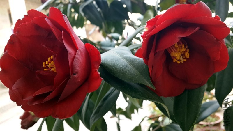 20140326_153911_����.jpg