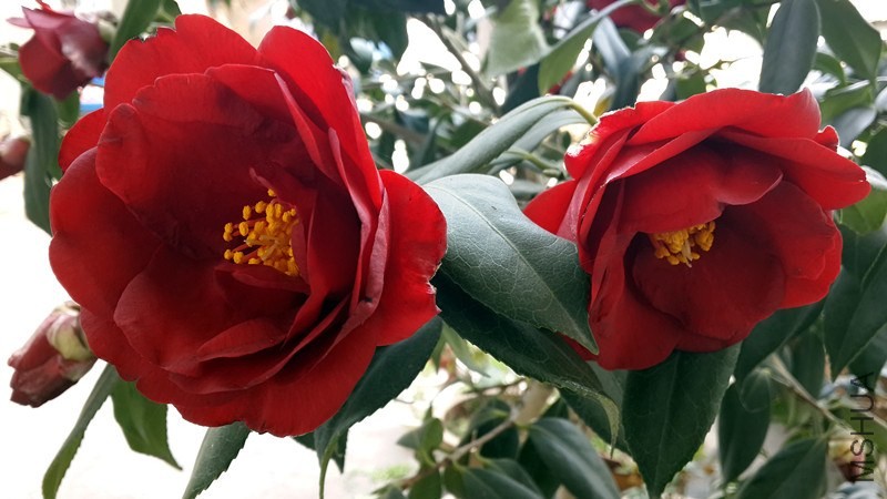 20140326_153814_����.jpg