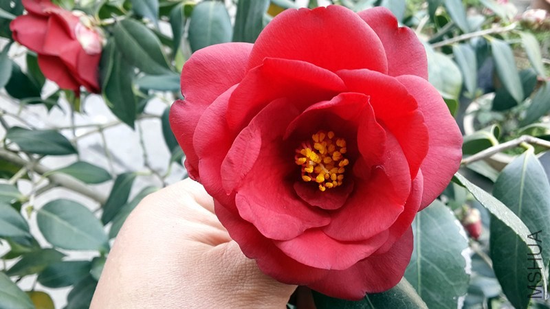 20140326_154020_����.jpg