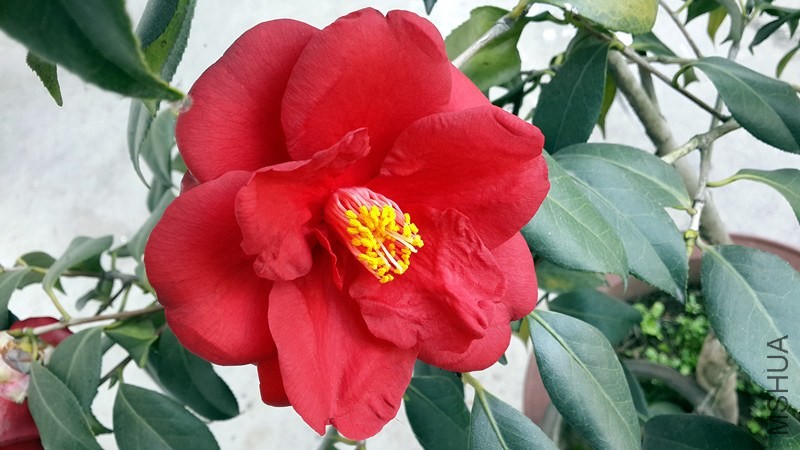 20140326_153924_����.jpg