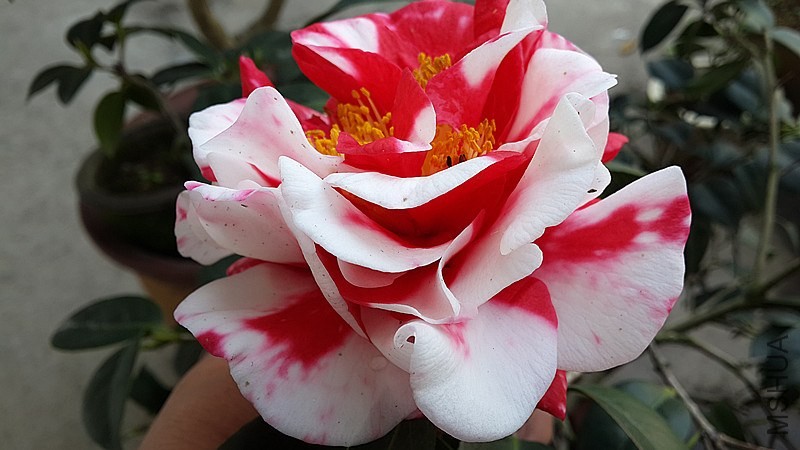 20140326_154302_����.jpg