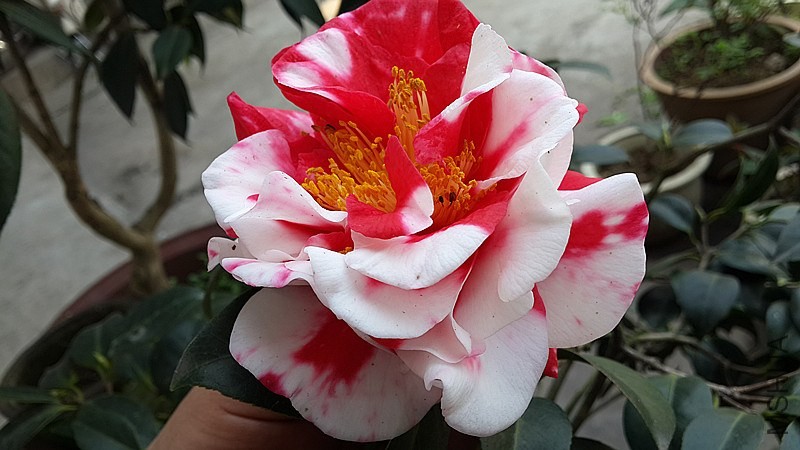 20140326_154105_����.jpg