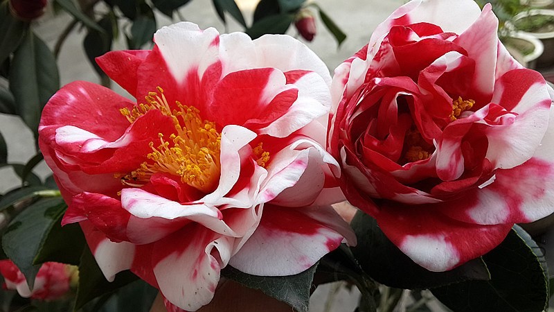 20140326_154639_����.jpg