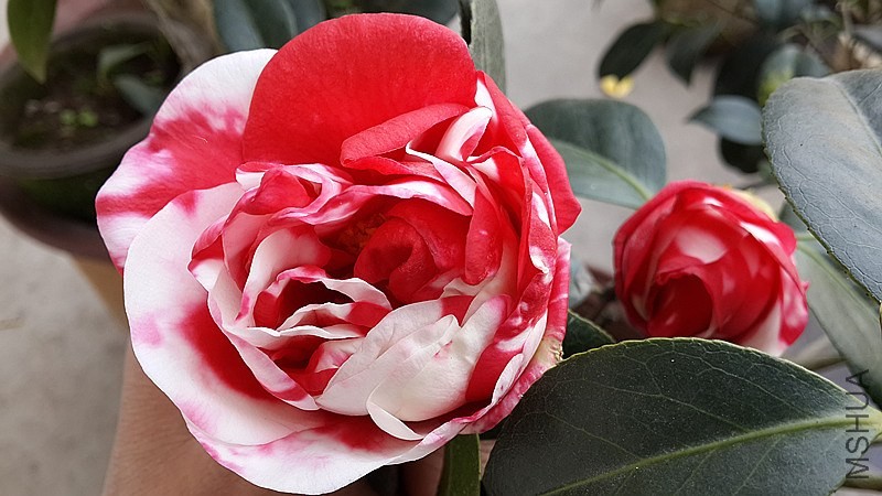 20140326_154608_����.jpg