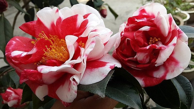 20140326_154721_����.jpg