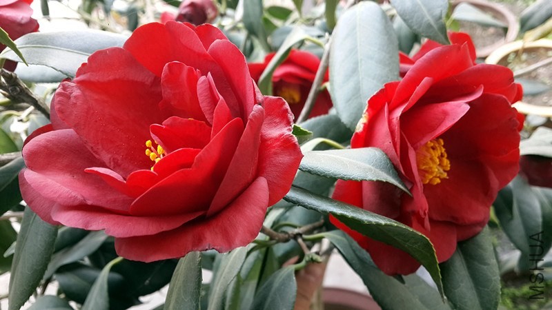 20140326_155043_����.jpg
