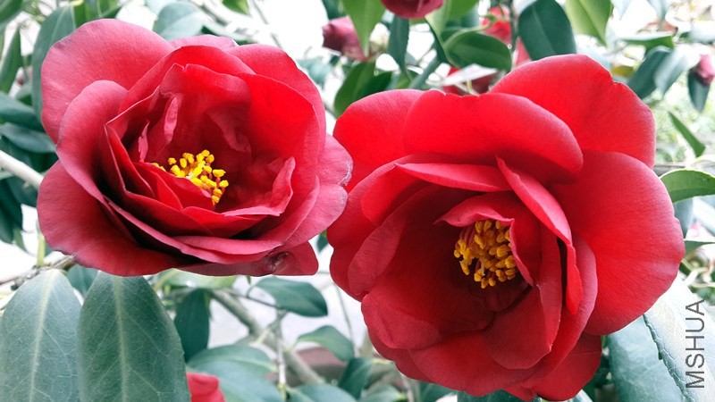 20140326_155118_����.jpg