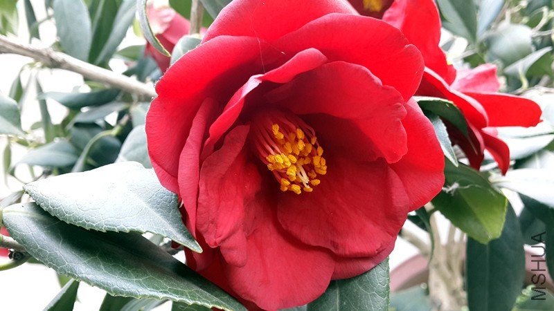 20140326_155155_����.jpg