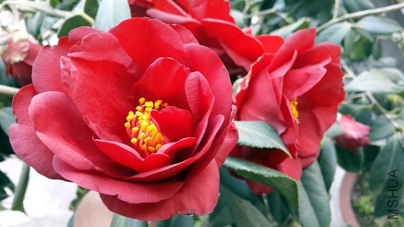 20140326_155615_����.jpg