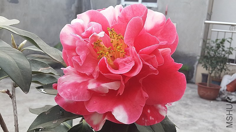 20140326_172917_����.jpg