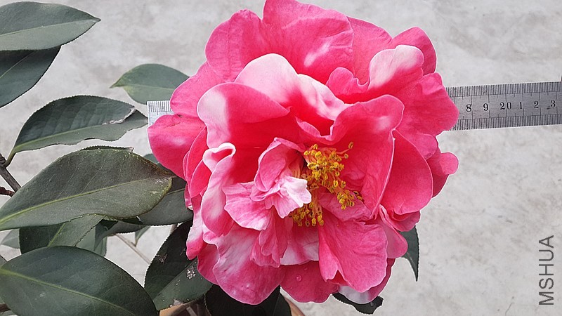 20140326_172828_����.jpg