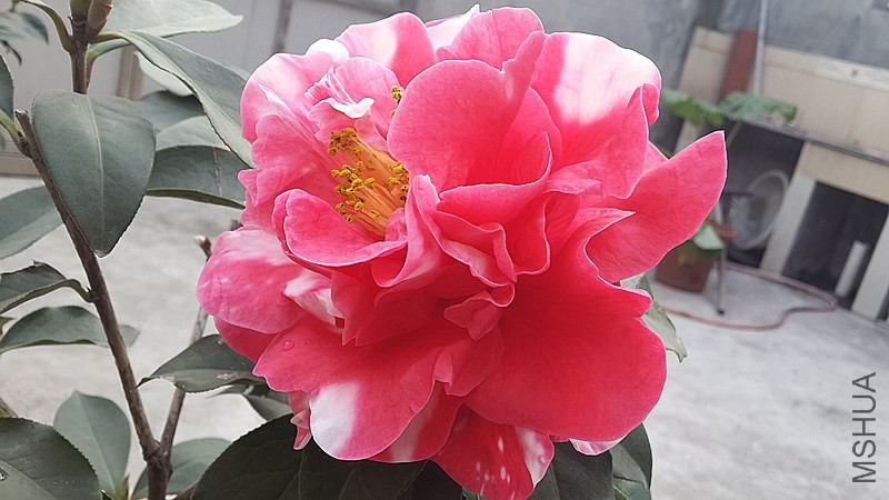 20140326_172933_����.jpg