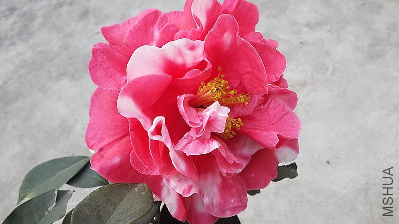 20140326_173009_����.jpg