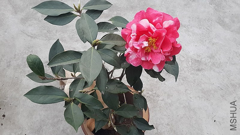 20140326_172946_����.jpg