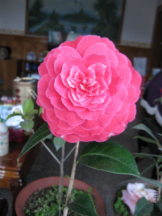 ����8 (22).JPG