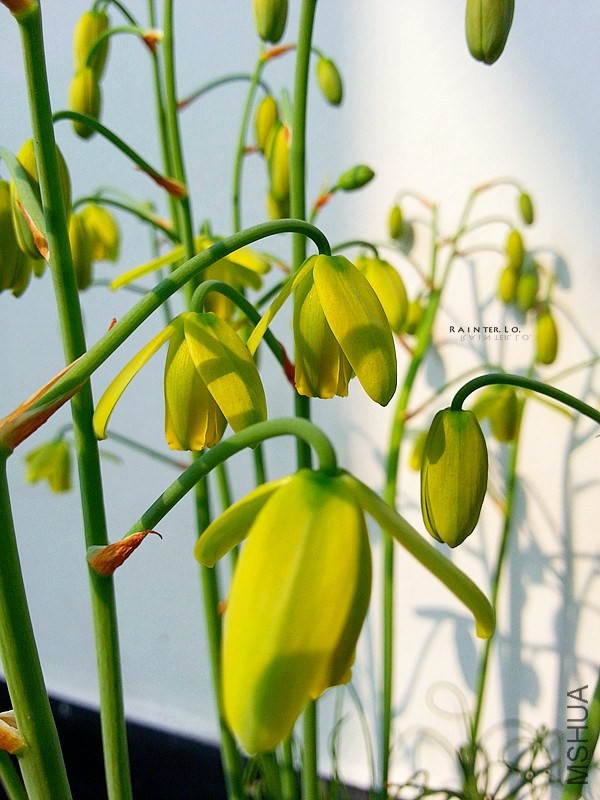 20140327_092638.jpg