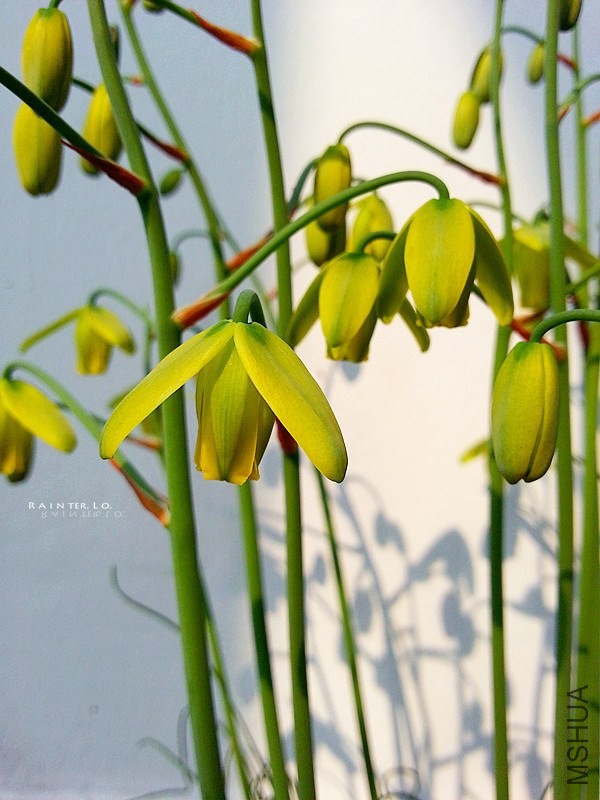 20140327_092305.jpg