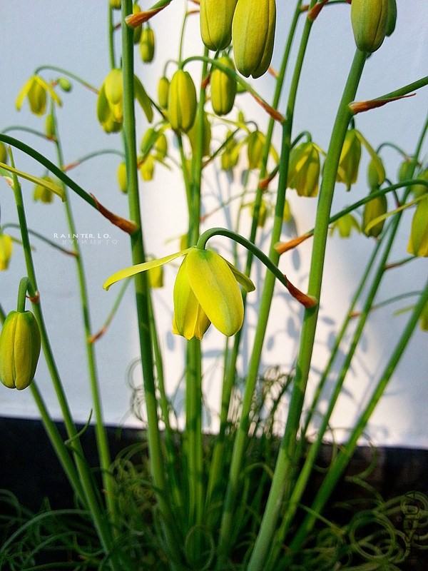 20140327_092551.jpg