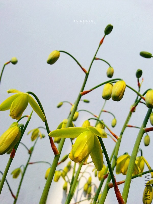 20140327_092736.jpg