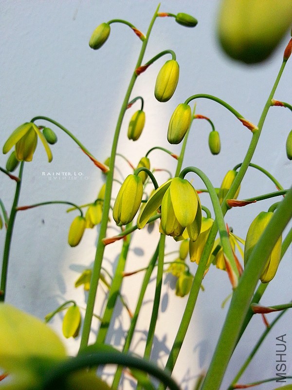 20140327_092808.jpg