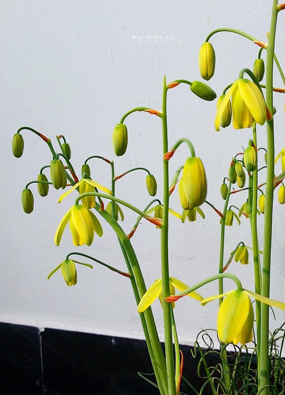 20140327_093117.jpg
