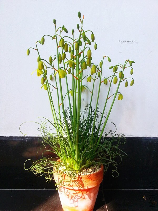 20140326_094335.jpg