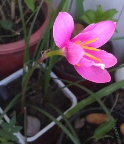 ������.jpg