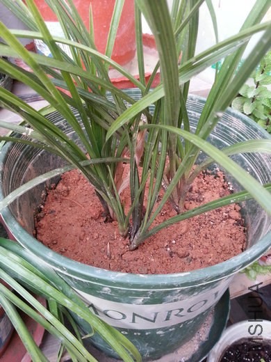 20140325_065035.jpg