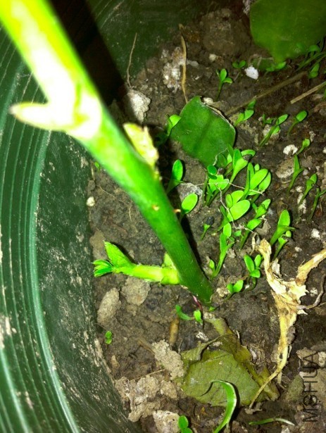 QQ��ͼ20140327141842.jpg