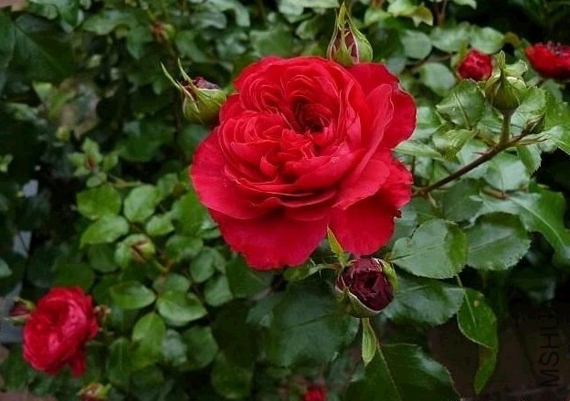 QQͼƬ20140327145043.jpg